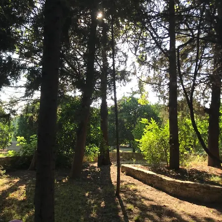בית חווה Secret Paradise מנבגט