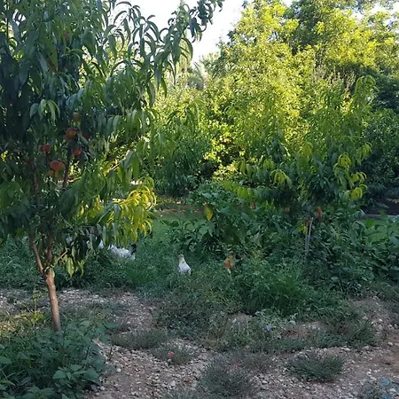 בית חווה Secret Paradise *
