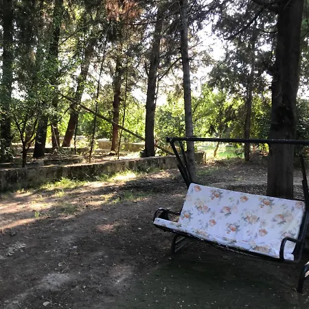 Secret Paradise מנבגט