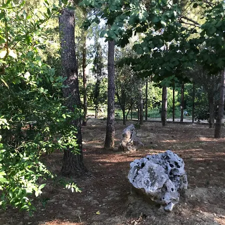 בית חווה Secret Paradise
