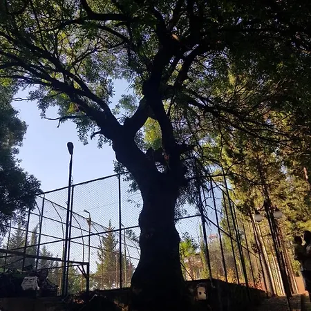 בית חווה Secret Paradise *