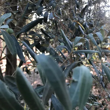 Secret Paradise בית חווה *