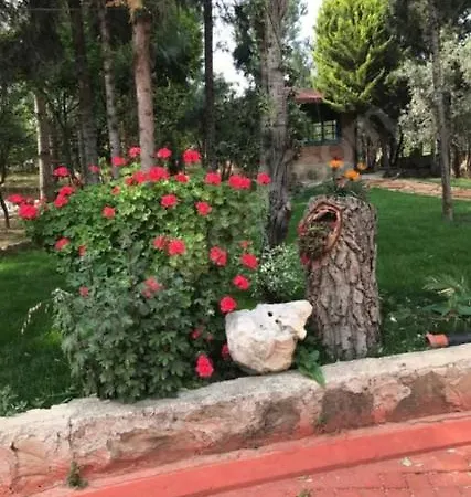 Secret Paradise מנבגט