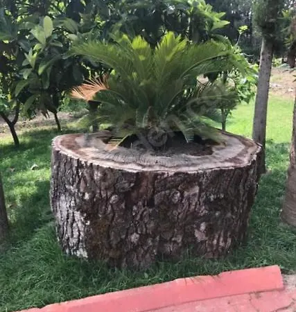 Secret Paradise